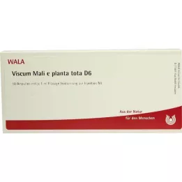 VISCUM MALI e planta tota D 6 ampulli, 10X1 ml