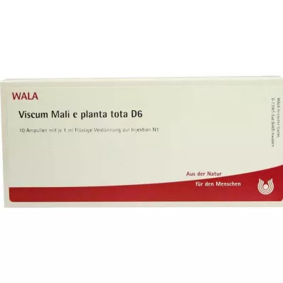 VISCUM MALI e planta tota D 6 ampulli, 10X1 ml VISCUM MALI e planta tota D 6 ampulli, 10X1 ml