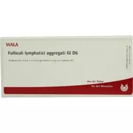 FOLLICULI LYMPHATICI agregaat GL D 6 ampulli, 10X1 ml