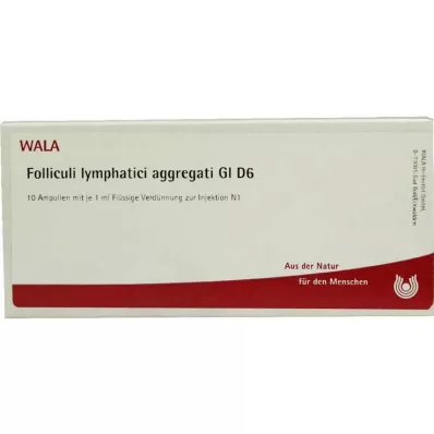 FOLLICULI LYMPHATICI agregaat GL D 6 ampulli, 10X1 ml