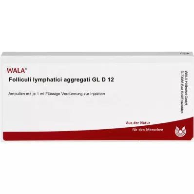 FOLLICULI LYMPHATICI agregaat GL D 12 ampulli, 10X1 ml