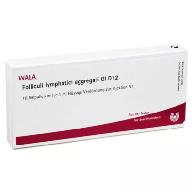 FOLLICULI LYMPHATICI agregaat GL D 12 ampulli, 10X1 ml