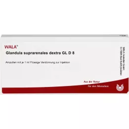 GLANDULA SUPRARENALES dextra GL D 8 ampulli, 10X1 ml