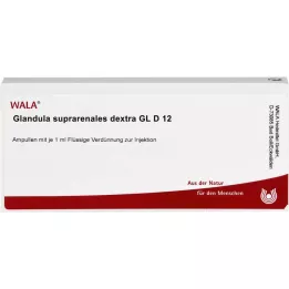 GLANDULA SUPRARENALES dextra GL D 12 ampulli, 10X1 ml