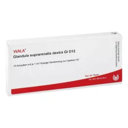 GLANDULA SUPRARENALES dextra GL D 12 ampulli, 10X1 ml
