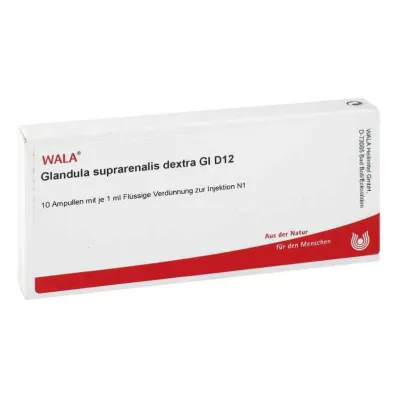 GLANDULA SUPRARENALES dextra GL D 12 ampulli, 10X1 ml