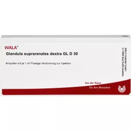 GLANDULA SUPRARENALES dextra GL D 30 ampulli, 10X1 ml