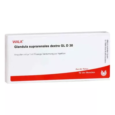 GLANDULA SUPRARENALES dextra GL D 30 ampulli, 10X1 ml