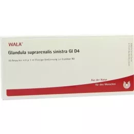 GLANDULA SUPRARENALIS sinistra GL D 4 ampulli, 10X1 ml