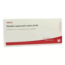 GLANDULA SUPRARENALIS sinistra GL D 4 ampulli, 10X1 ml