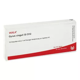 GYRUS cinguli GL D 12 ampulli, 10X1 ml