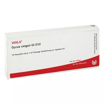 GYRUS cinguli GL D 12 ampulli, 10X1 ml GYRUS cinguli GL D 12 ampulli, 10X1 ml