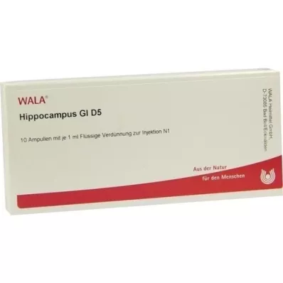 HIPPOCAMPUS GL D 5 ampulli, 10X1 ml