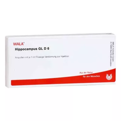 HIPPOCAMPUS GL D 6 ampulli, 10X1 ml
