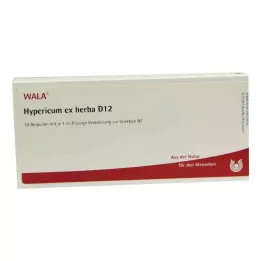 HYPERICUM EX Herba D 12 ampulli, 10X1 ml