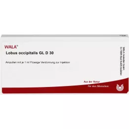 LOBUS occipitalis GL D 30 ampulli, 10X1 ml