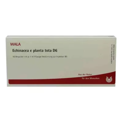 ECHINACEA E planta tota D 6 ampulli, 10X1 ml
