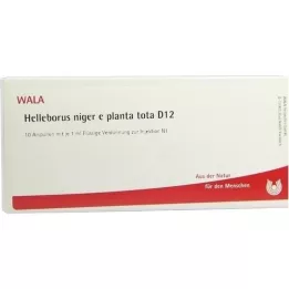 HELLEBORUS NIGER e planta tota D 12 ampulli, 10X1 ml