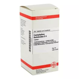 CAULOPHYLLUM THALICTROIDES D 4 tabletti, 200 tk