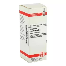 CEANOTHUS AMERICANUS D 2 Lahjendus, 20 ml