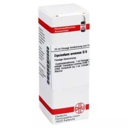 EQUISETUM ARVENSE D 6 Lahjendus, 20 ml