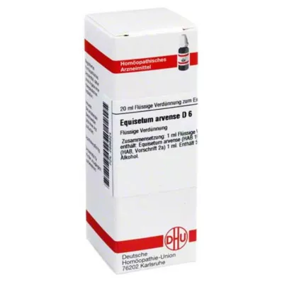 EQUISETUM ARVENSE D 6 Lahjendus, 20 ml
