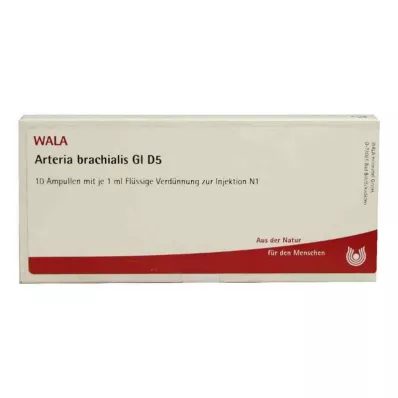 ARTERIA BRACHIALIS GL D 5 ampulli, 10X1 ml