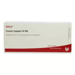 CAVUM tympani GL D 6 ampulli, 10X1 ml