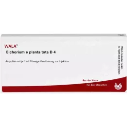 CICHORIUM E planta tota D 4 ampulli, 10X1 ml