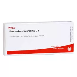 DURA MATER encephali GL D 6 ampulli, 10X1 ml