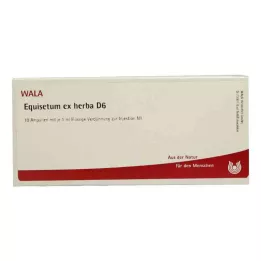 EQUISETUM EX Herba D 6 ampulli, 10X1 ml
