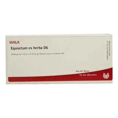 EQUISETUM EX Herba D 6 ampulli, 10X1 ml EQUISETUM EX Herba D 6 ampulli, 10X1 ml