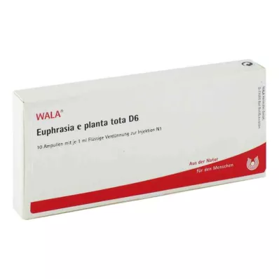 EUPHRASIA E planta tota D 6 ampulli, 10X1 ml EUPHRASIA E planta tota D 6 ampulli, 10X1 ml