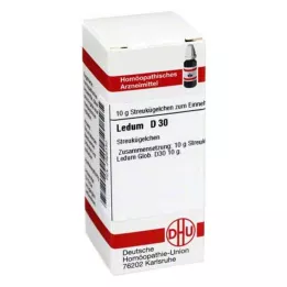LEDUM D 30 kapslit, 10 g