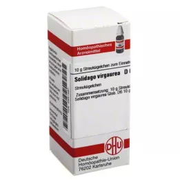 SOLIDAGO VIRGAUREA D 6 kapslit, 10 g