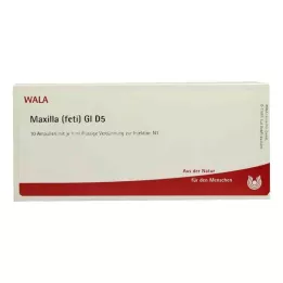 MAXILLA feti GL D 5 ampulli, 10X1 ml