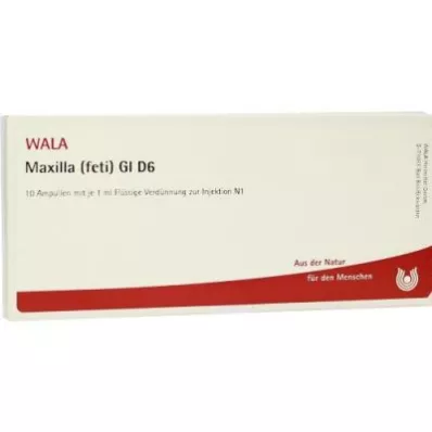MAXILLA feti GL D 6 ampulli, 10X1 ml MAXILLA feti GL D 6 ampulli, 10X1 ml