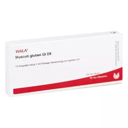 MUSCULI GLUTAEI GL D 5 ampulli, 10X1 ml