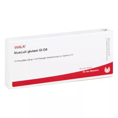 MUSCULI GLUTAEI GL D 5 ampulli, 10X1 ml