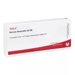 NERVUS FEMORALIS GL D 6 ampulli, 10X1 ml