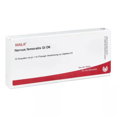 NERVUS FEMORALIS GL D 6 ampulli, 10X1 ml NERVUS FEMORALIS GL D 6 ampulli, 10X1 ml