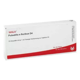 PULSATILLA E floribus D 4 ampulli, 10X1 ml