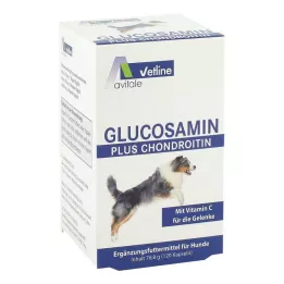 GLUCOSAMIN+CHONDROITIN kapslid koertele, 120 tk
