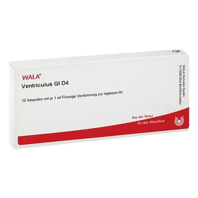 Ventriculus GL D 4 ampulli, 10X1 ml