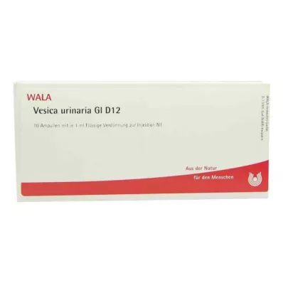Vesica Urinaria Gl D12 ampullid (10x1 ml)