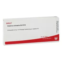 VESICA URINARIA GL D 15 ampullid, 10X1 ml