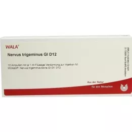 NERVUS TRIGEMINUS GL D 12 ampulli, 10X1 ml