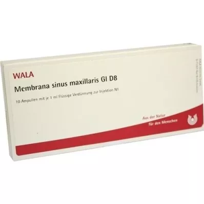 MEMBRANA sinus maxillaris GL D 8 ampulli, 10X1 ml