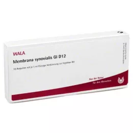 MEMBRANA synovialis GL D 12 ampulli, 10X1 ml