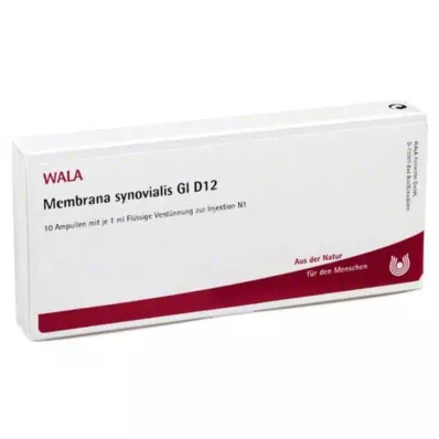 Membrana Synovialis GL D 12 ampulli, 10X1 ml